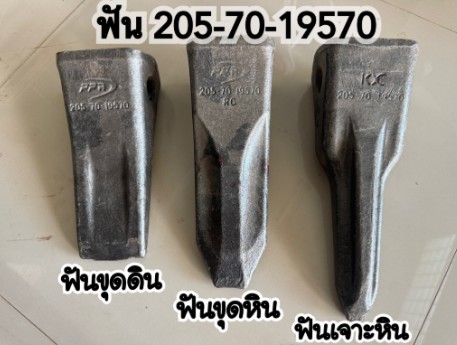 205-70-19570
